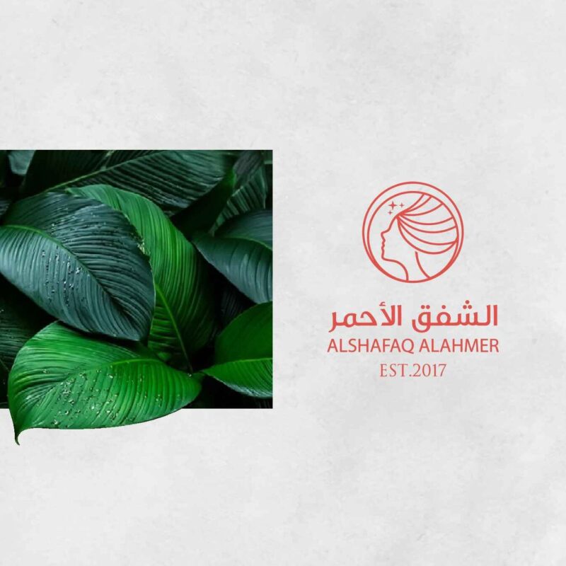 Alshafaq Alahmer Company Profile 6 Feb 1 of 31