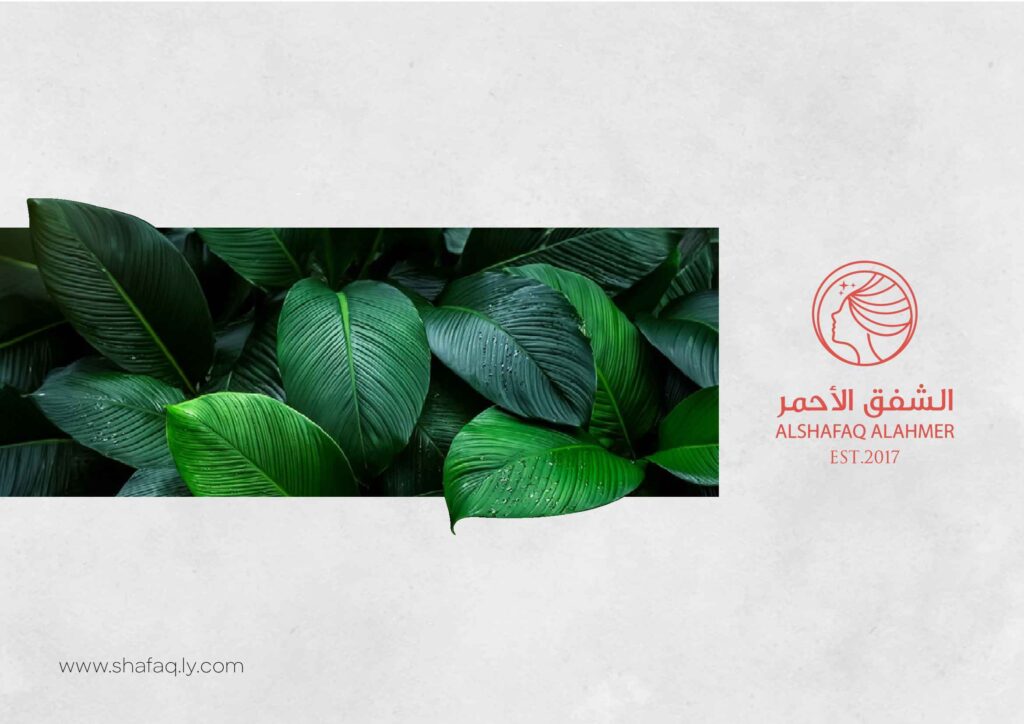 Alshafaq Alahmer Company Profile 6 Feb 1 of 31 (2)